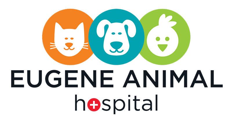 Eugene Animal Hospital