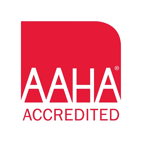 AAHA Accredited