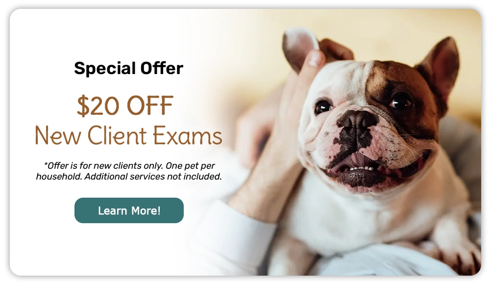 Special Offer! $20 OFF New Client Exam!