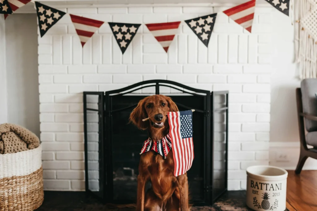 An Irish Setter wearing a patriotic bandana sits in front of a fireplace, holding a small American flag in its mouth beneath festive bunting.